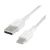 Belkin PMWH2001yz2M USB Type-C 2 Meter Cable