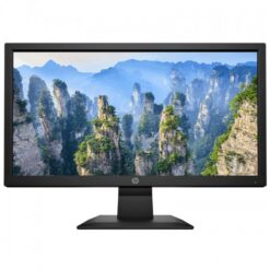 HP V20 19.5 Inch HD+ LED TN Monitor