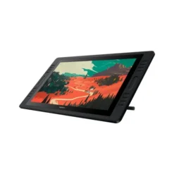 Huion KAMVAS Pro 20 19.5 inch Graphics Drawing Tablet | FHD